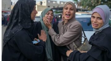 Képernyőkép 2024-12-23 130508