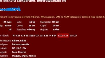 Képernyőkép 2024-12-28 134442
