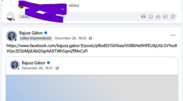 Képernyőkép 2024-12-31 070055