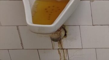 Képernyőkép 2025-01-09 070449