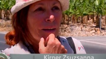 Képernyőkép 2025-01-09 072249