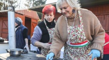 Képernyőkép 2025-02-16 061209