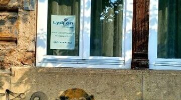 Képernyőkép 2025-02-21 170027