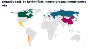Képernyőkép 2025-03-13 072943