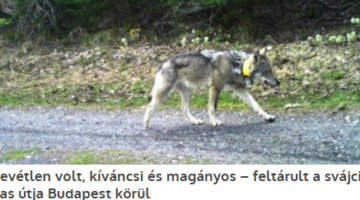 Képernyőkép 2025-03-27 183536