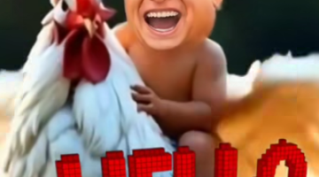 Képernyőkép 2025-04-23 055321