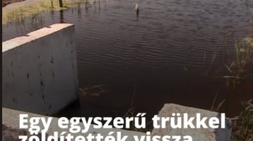 Képernyőkép 2025-04-24 071507