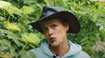 Képernyőkép 2025-05-23 075748