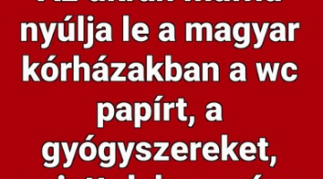 Képernyőkép 2025-06-04 052757