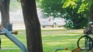 képernyőkép 2025 06 18 085330