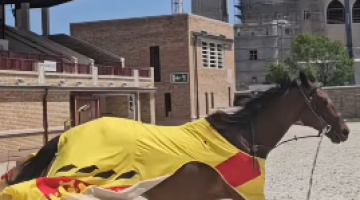 képernyőkép 2025 06 19 063503