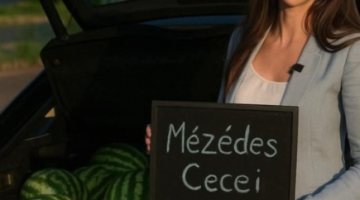 képernyőkép 2025 06 19 171041