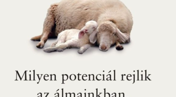 képernyőkép 2025 06 27 063217