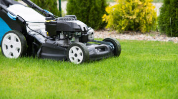 lawn mower in the garden.