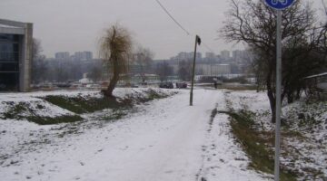 P2020100