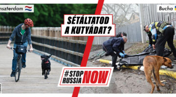 SRN_hungarian-06 (1)