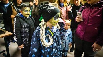 Screenshot 2024-10-24 174502