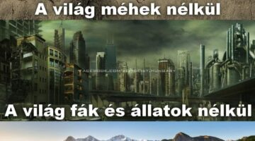 a világ ember nélkül