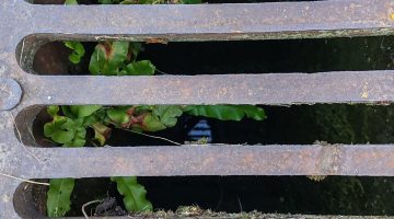 af2e153e2d7a4b1591d52bfd1fda491a