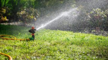 Automatic sprinkler system watering the lawn.Watering in the garden. Watering garden plants.
