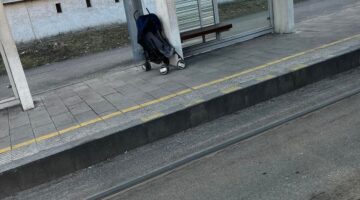 bfd2407da8e945bc91589a2d093aa0b8