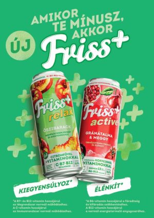 borsodi friss kv 2026 1 frissp 2in1 210x297 prew indd