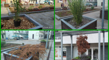combine_images(4)