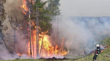 csutortok-bukki-erdotuz-keletkezes-220707