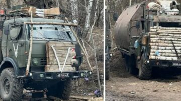 d330d8d7-8121-4864-9174-c4701cd04fff