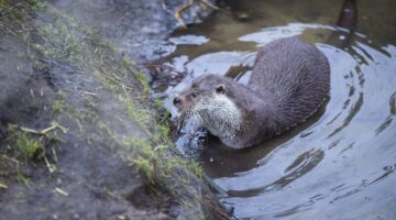 d__vg20200126006-1024x683-1