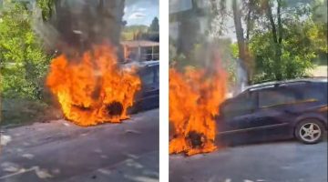 de56abcae3684417afa866b570700d36