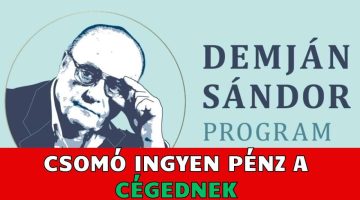 demjansandor program minner