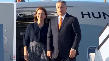 df76cd69-1868-40b1-bd2f-cc7ce1234e23
