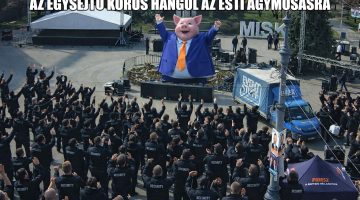 egysejtu korus