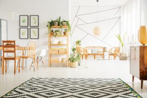Potted plants in white studio apartment interior