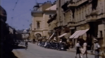 ezgif.com-gif-maker-2