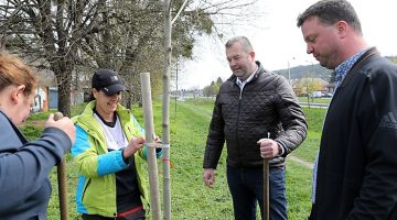 faultetes_aba_utca_250411_ja_17