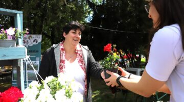 florens_viragkiallitas_230511ml-11