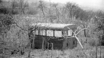 fortepan_33359-768x498