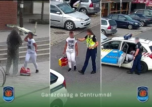 garazdasag rendeszet centrum 260610 jpeg.jpg