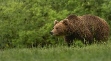 gettyimages 2231178112 e1758117281781 660x371