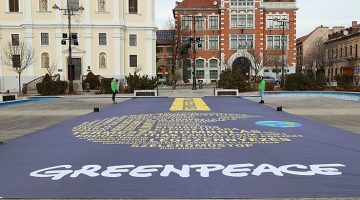 greenpeace_molino_220206_ja_6