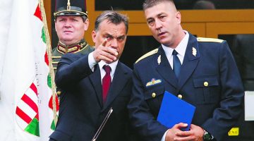 hajdu janos ov
