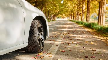 hankook kép