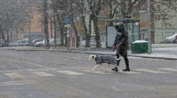 havazas_230120_ja-1