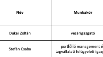 holding-fizetes