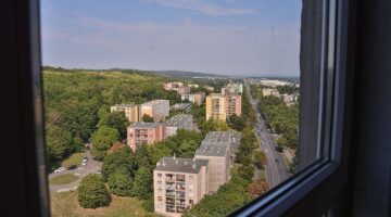 huszemeletes_20240821-ot_032
