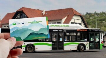 image-32 (1)