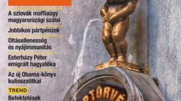 image (33)