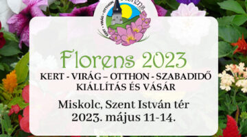image-37